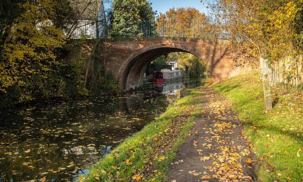 Autumn leaves on the inland waterways